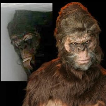 Illustration for article titled Bigfoot Conference Verdict: Big Fat Hoax
